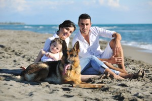 happy young family in white clothing have fun and play with beautiful dog at vacations on beautiful beach